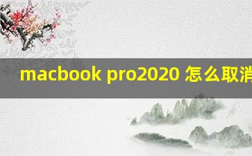 macbook pro2020 怎么取消密码